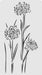 5x9 Dandelion Flower Stencil | Bakell