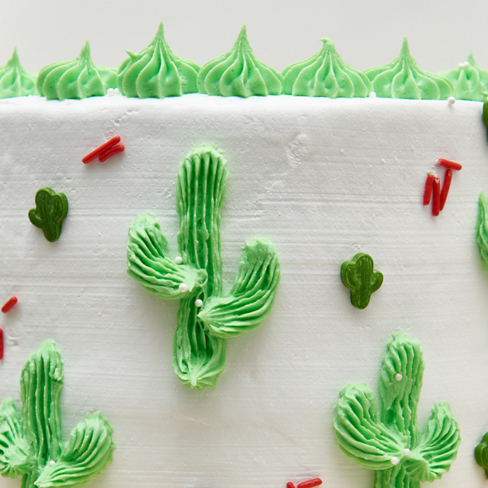 Decorate A Glittery Cactus Cake-Bakell®