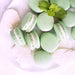 Soft green macarons with white filling, garnished with fresh mint leaves and white sugar leaves.