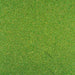 Sour Apple Ultrafine Holographic Craft Glitter Dazzler Dust | Premium Polyester Non-Toxic | Bakell-B2C_Dazzler Dust-bakell