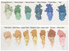 Swatches of various luster dust colors including green, blue, gold, bronze, and rose gold.