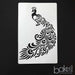 Peacock Stencil