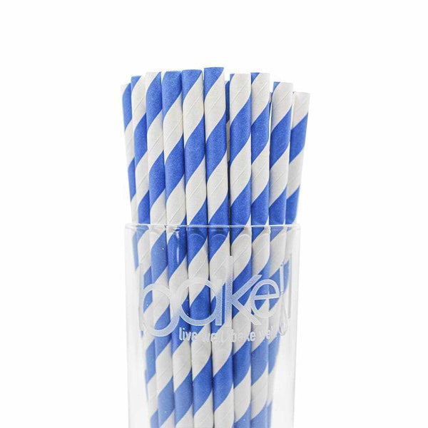 Light Blue Checkered Cake Pop Party Straws