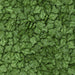 Cactus Shaped Sprinkles – Krazy Sprinkles® Bakell.com