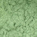 Leaf Green Luster Dust 4 Gram Jar-Luster Dust_4G_Google Feed-bakell