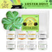 Luster Dust Combo Pack B 8 PC SET St. Patty's Collection - Bakell