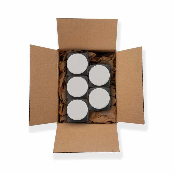 Starlight Silver Dazzler Dust® Wholesale-Wholesale_Case_Dazzler Dust-bakell