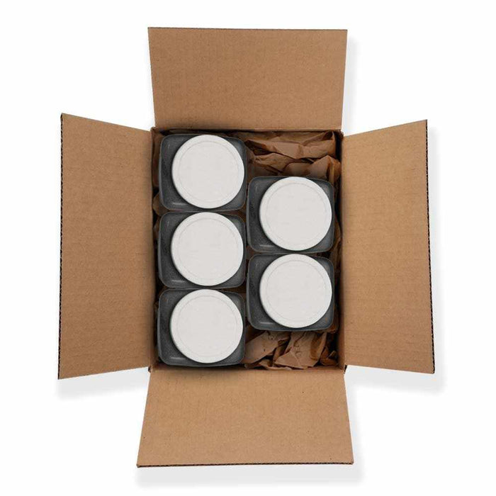 Sweet Birthday Cake Flavored Tinker Dust Wholesale | Bakell